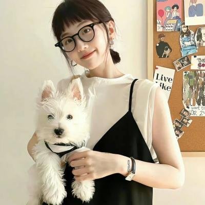 托托的色彩美学观